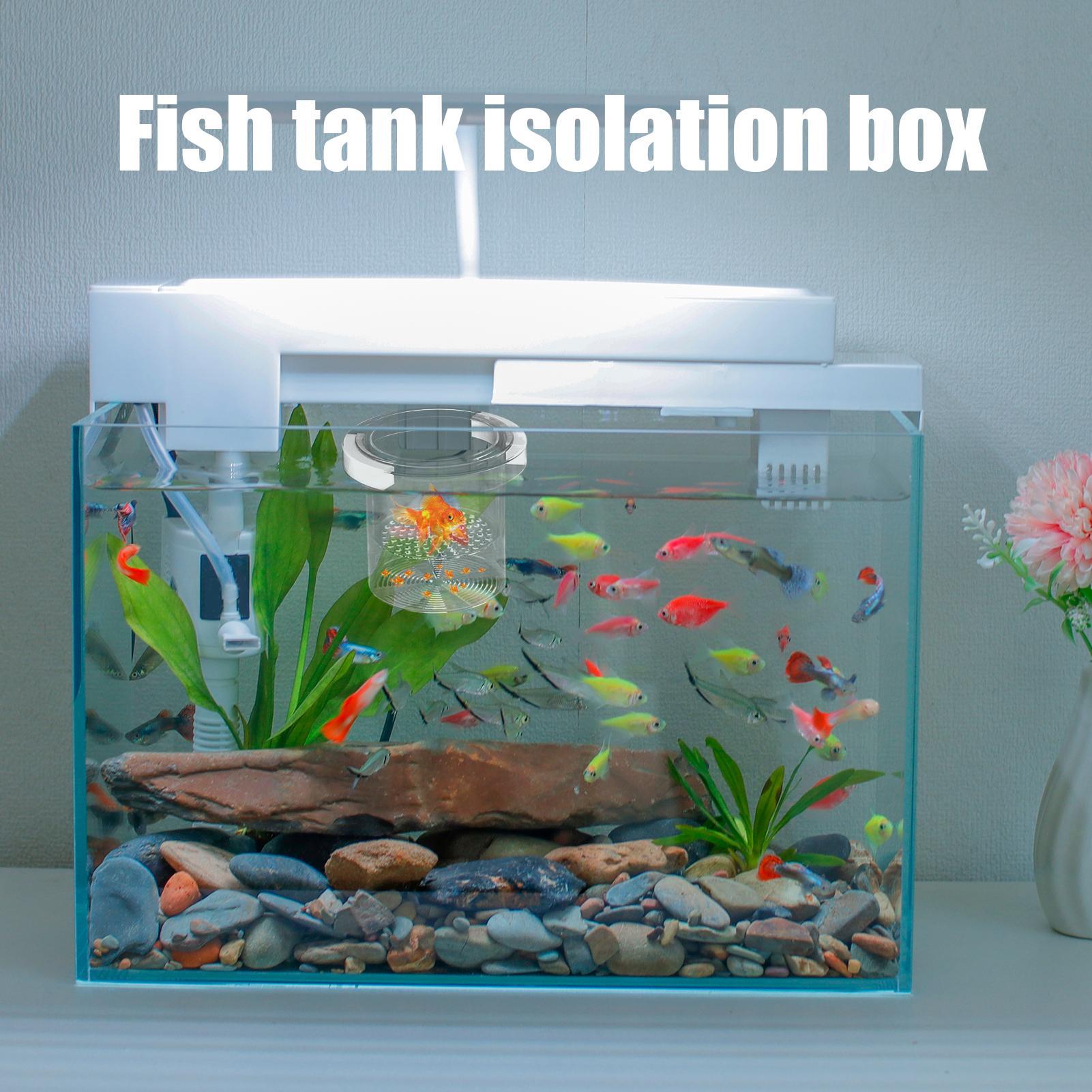 Fish Breeder Box Floating Aqua - огляд і ціна Aquarium Fish Betta