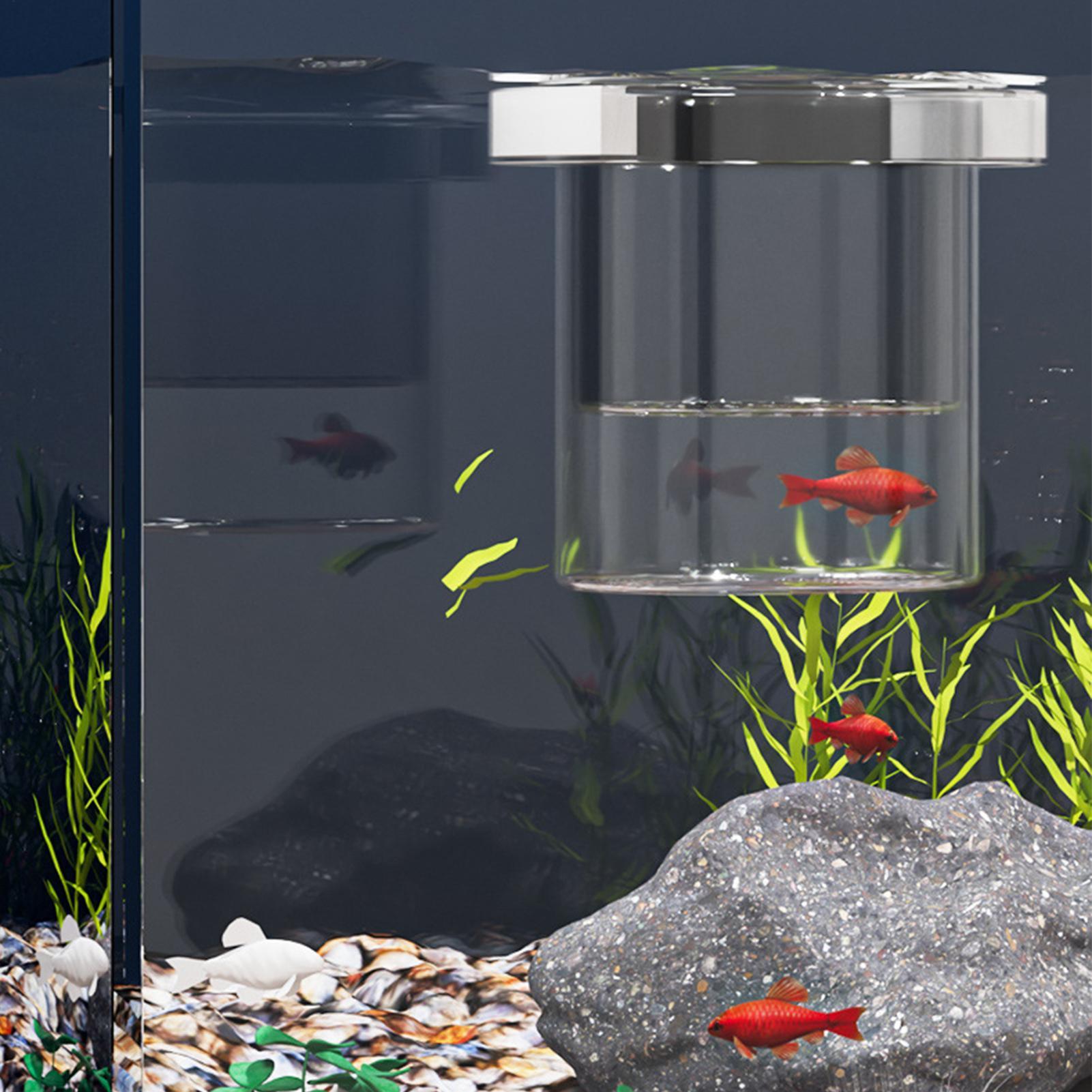 Fish Breeder Box Floating Aqua - огляд і ціна Aquarium Fish Betta