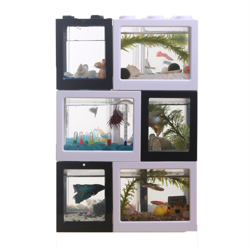 7 Color Mini Aquarium Betta Fi - огляд і ціна Aquarium Fish Betta