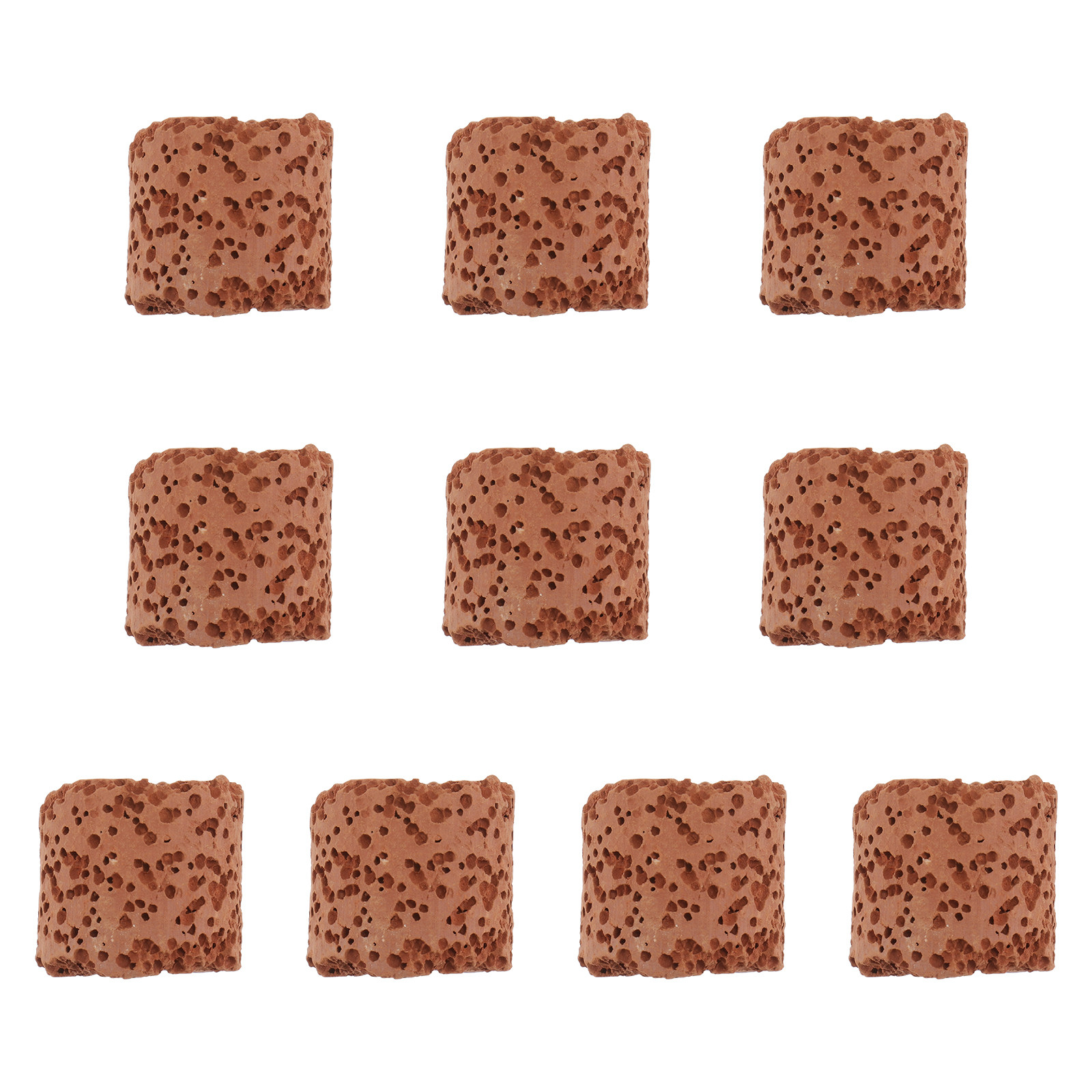 10Pcs Fixed Ring for Aquarium  - огляд і ціна Aquarium Plants