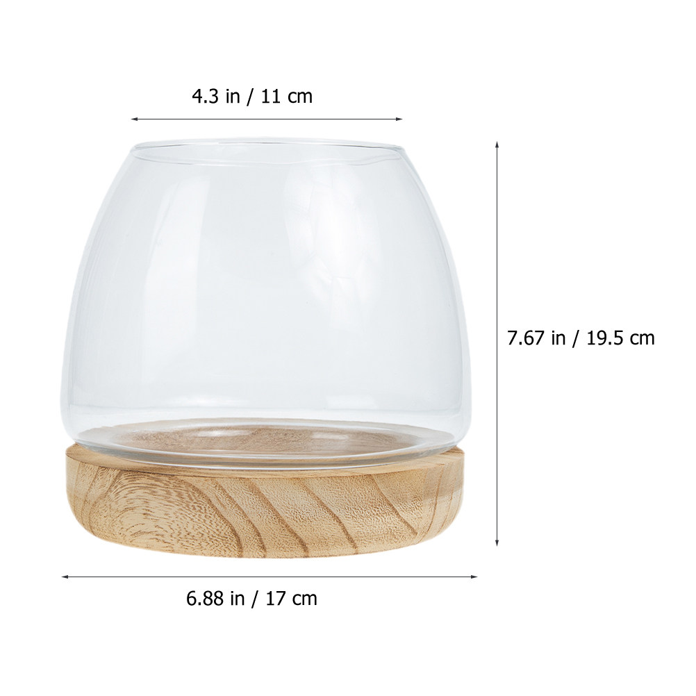1Set Clear Glass Hydroponic Pl - огляд і ціна Aquarium Plants