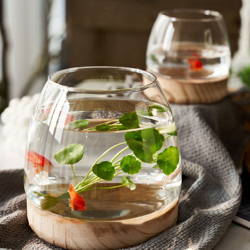 1Set Clear Glass Hydroponic Pl - огляд і ціна Aquarium Plants